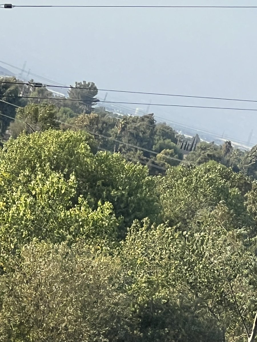 ghstapocalyps3's tweet image. #norco #california the #riverbottom