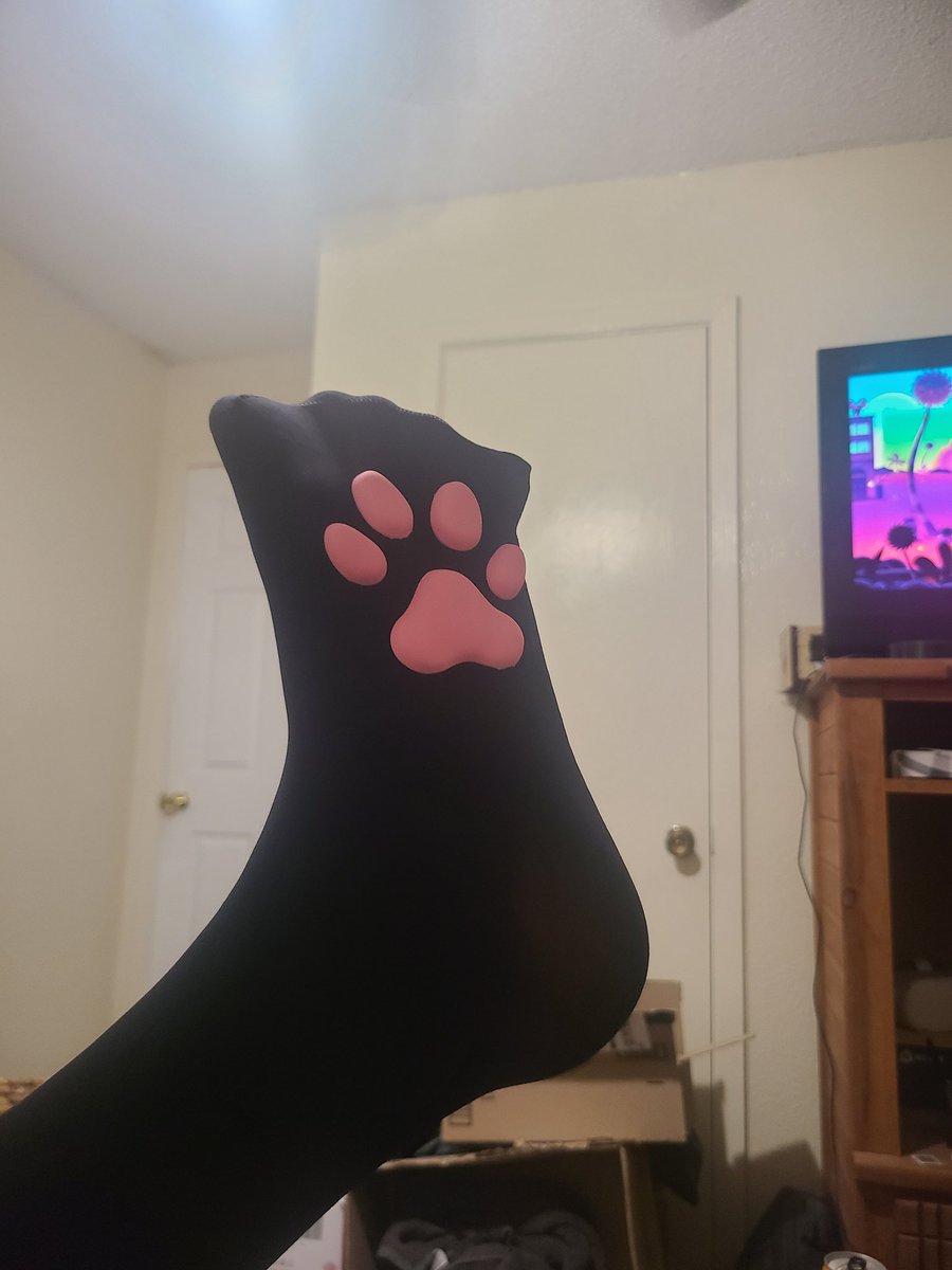 ColettVT's tweet image. Need to take more pics but I got kitty paw socks.