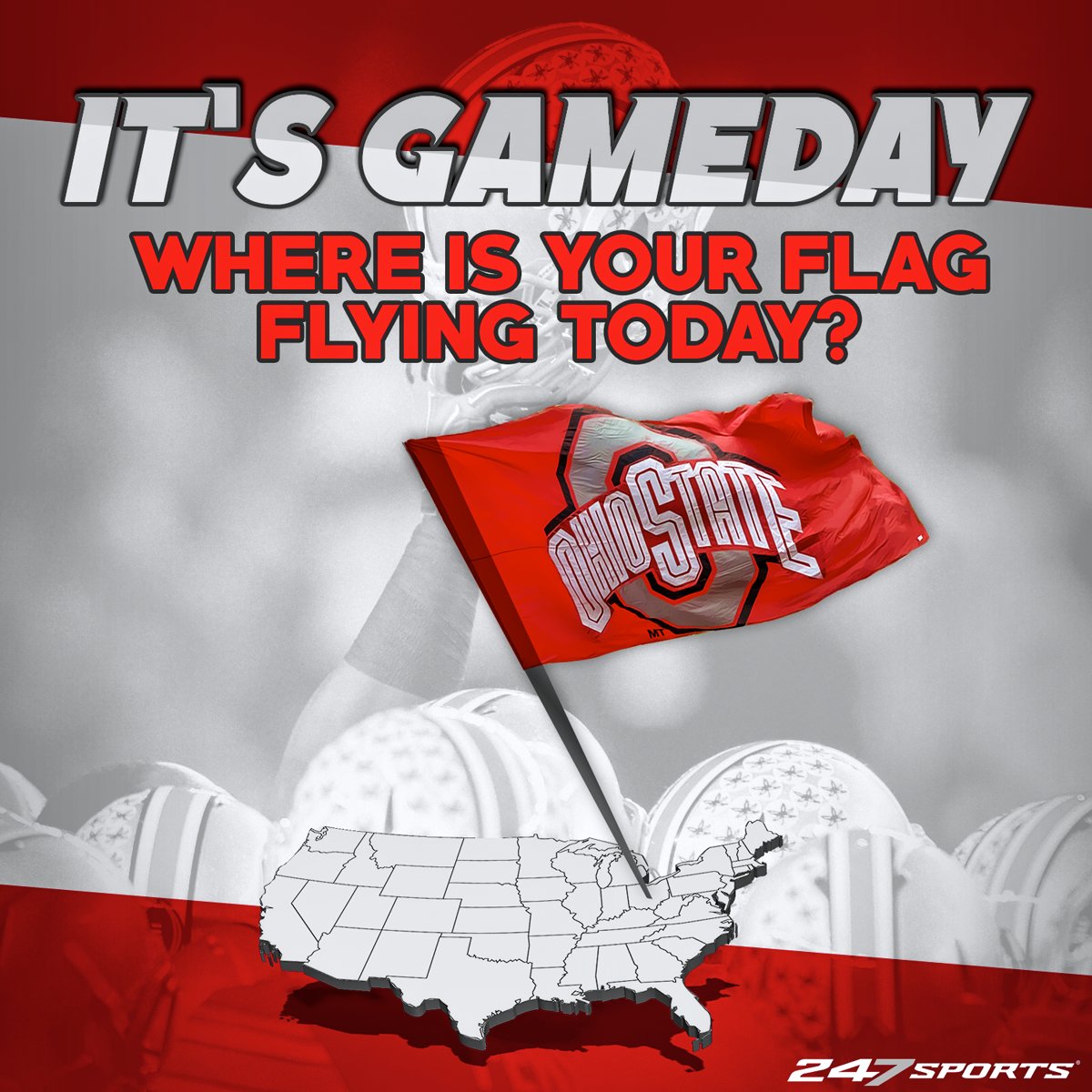 Bucknuts tweet media