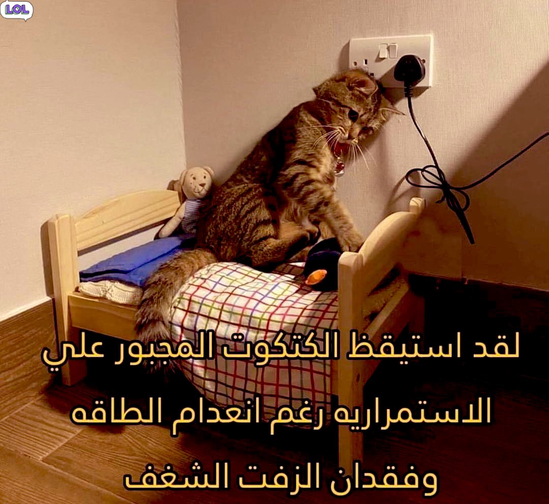 Trend tweet media