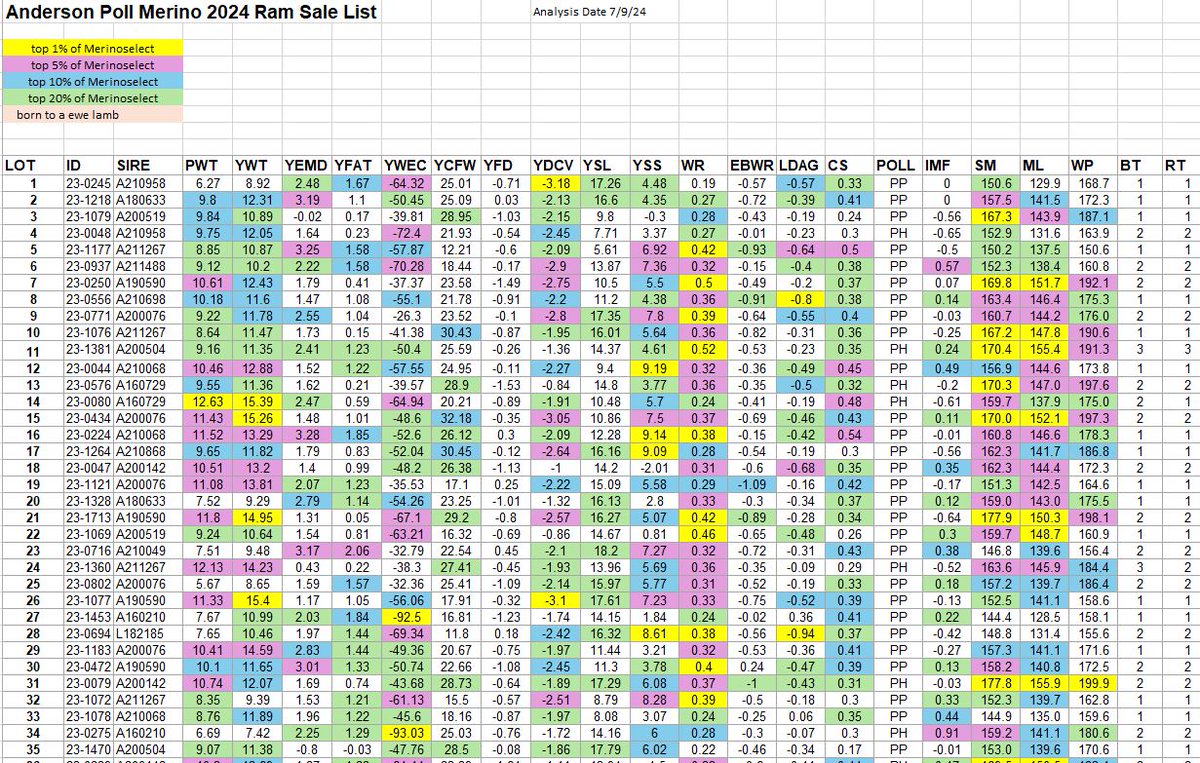 The Anderson Poll Merino ram sale list is out now!
Find it on Merinoselect rb.gy/wlrkyu 
and on our website andersonrams.com.au

Sale date is Wednesday 16th October 2024, 12.30pm start, on-property, Kojonup WA and simultaneously online on Auctions Plus.