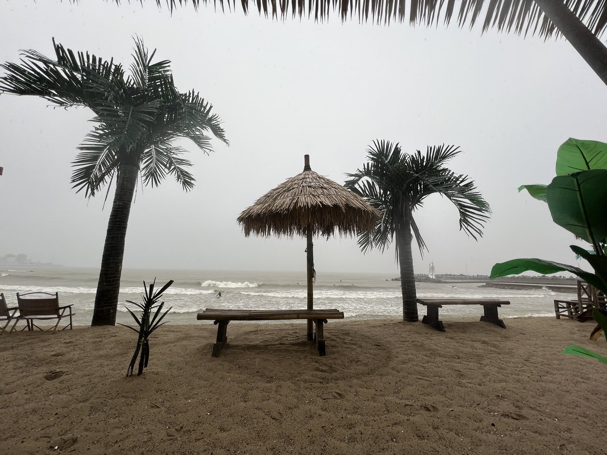 젊음이 역시 좋아요.
폭우에 파도를 즐기는 서핑 남여의 모습이 흥미진진하네요.