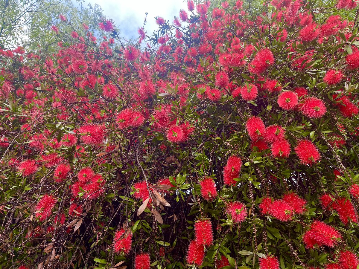 La calle en Septiembre.
