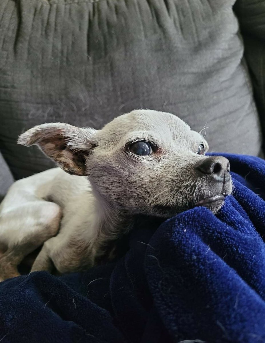 B-Grafix tweet media