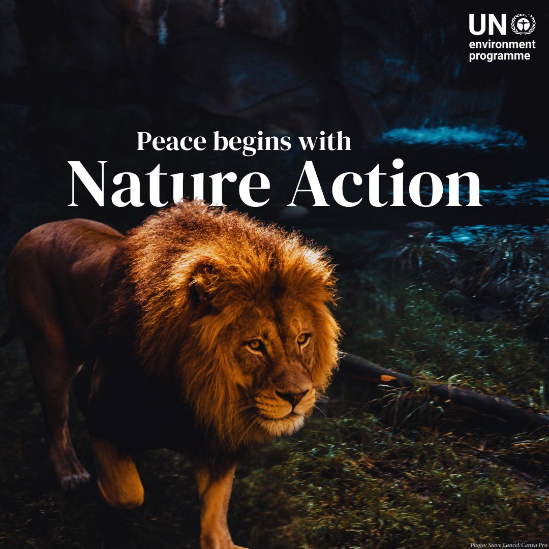 UN Environment Programme tweet media