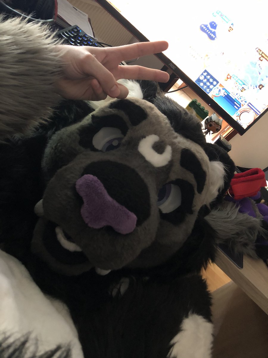 FluffySnep tweet media