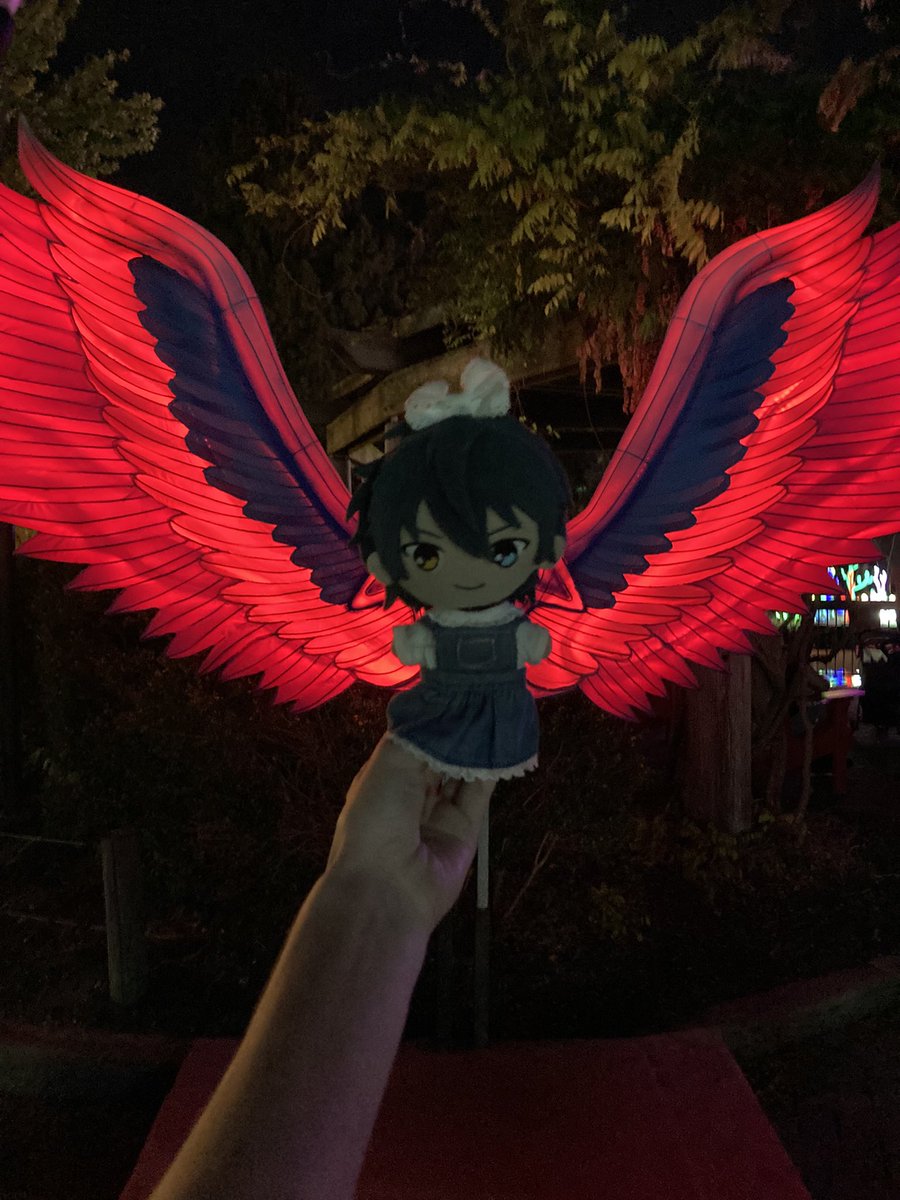 ShuglysWorld's tweet image. Just some left over photos from mine and Kagehira’s trip to the lantern festival. Not very exciting, my apologies.