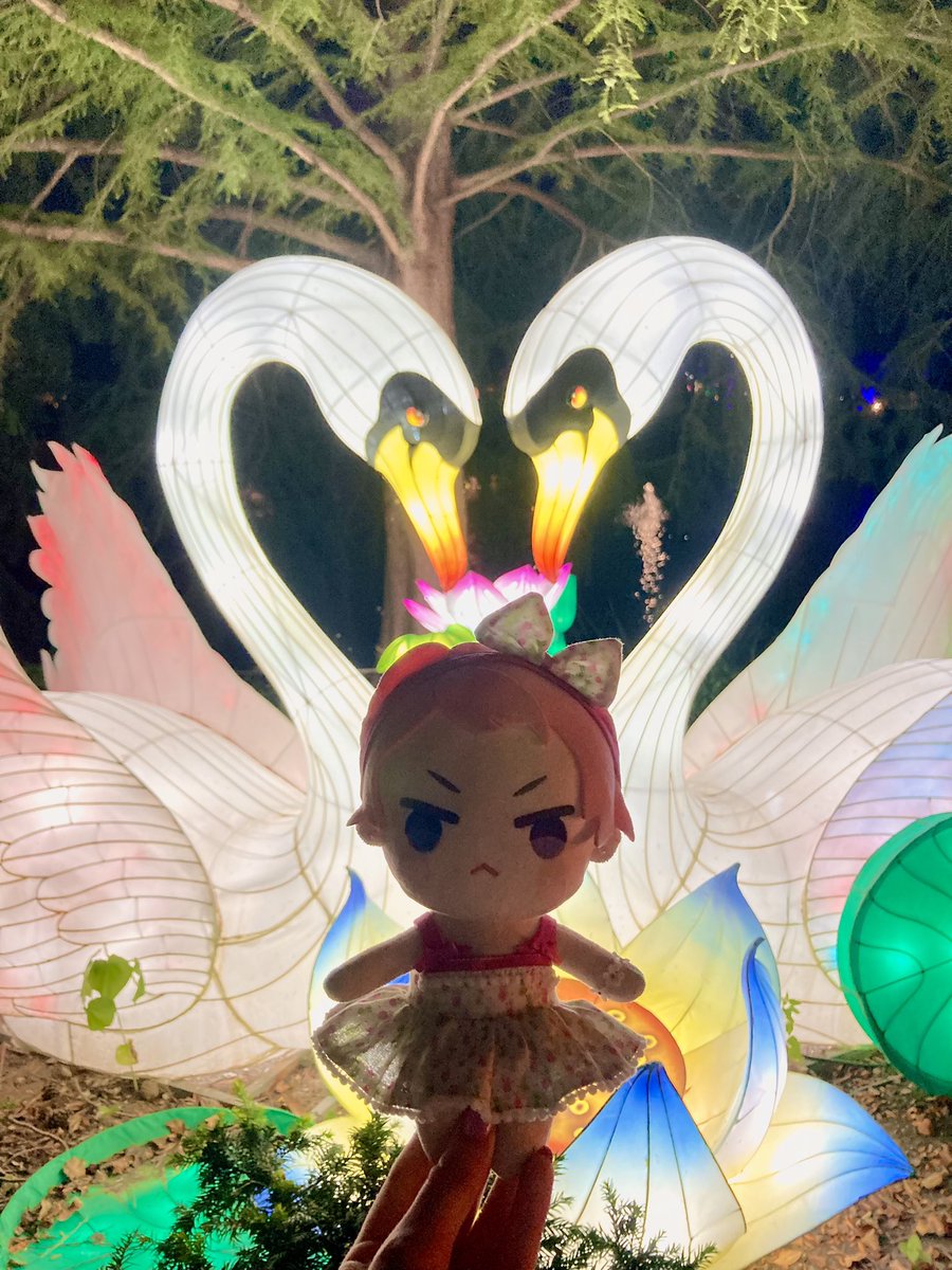 ShuglysWorld's tweet image. Just some left over photos from mine and Kagehira’s trip to the lantern festival. Not very exciting, my apologies.