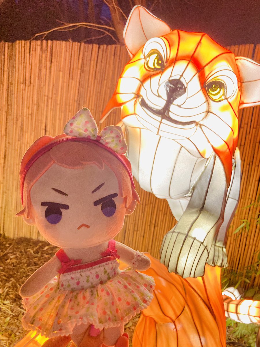 ShuglysWorld's tweet image. Just some left over photos from mine and Kagehira’s trip to the lantern festival. Not very exciting, my apologies.