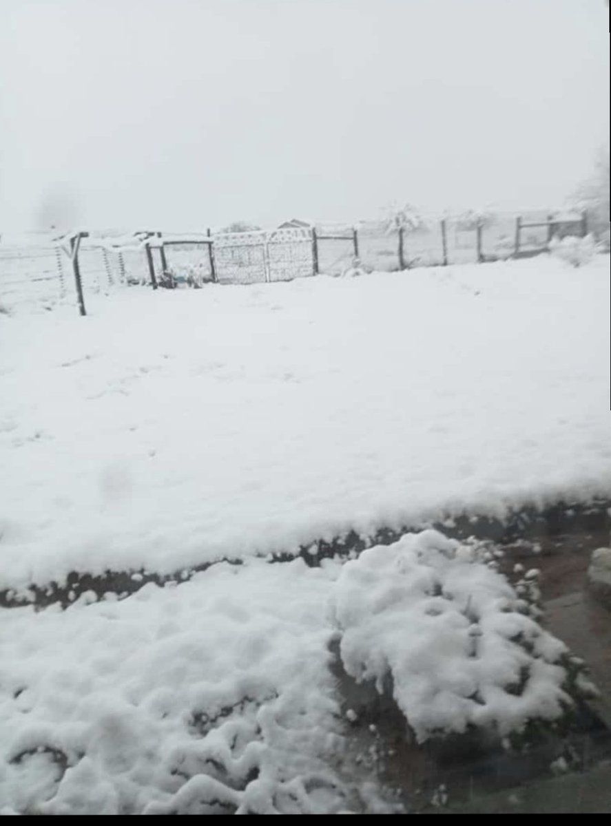 mane_mpi's tweet photo. My aunt waking up to #snow this morning in Maluti/Matatiele
#SnowinSpring #WeatherUpdate #climatechange https://t.co/i004lp9FdK