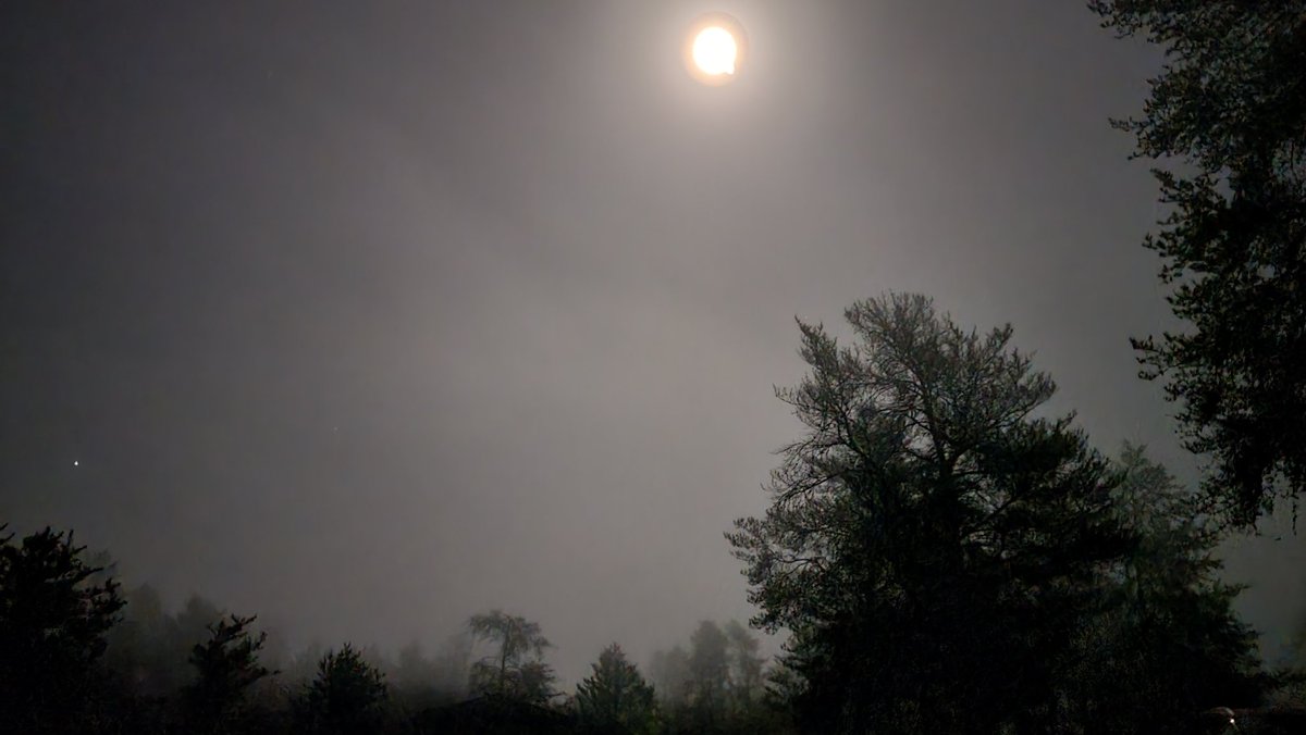 An absolutely gorgeous night