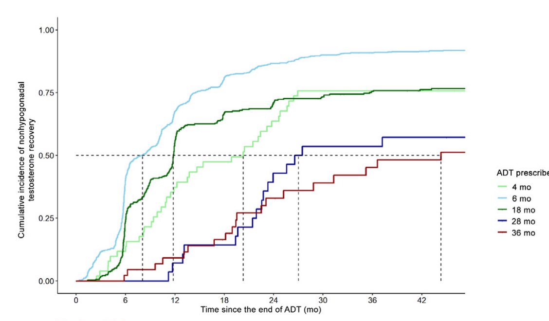 I struggle with when to consider testosterone replacement for symptomatic men with controlled disease after ADT. After either six or 18 months of ADT, spontaneous recovery is rare after the two year mark, so some great data to inform shared decision making.