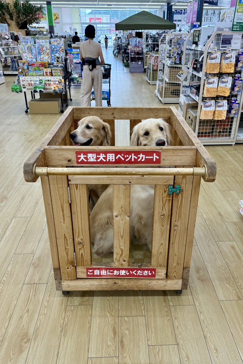 可愛い🥺