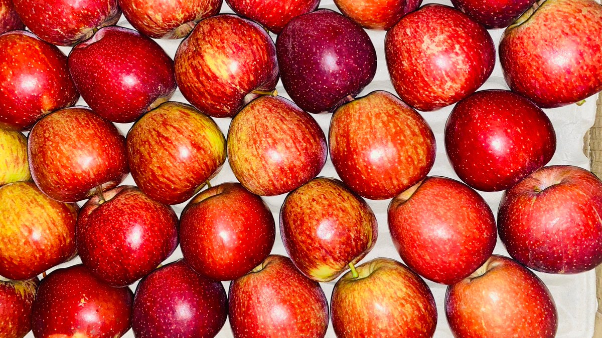 aanand_krishnaa's tweet image. Delighted to receive the best gift from the orchards of Himachal Pradesh. These apples have a fresh aroma of hills along with the enchanting grandeur of the mountains🍎

#HimachalPradesh #Apples #Deepest #Cabinet #SaturdayMorning #SaturdayVibes #GodMorningSaturday #WorldPeaceDay