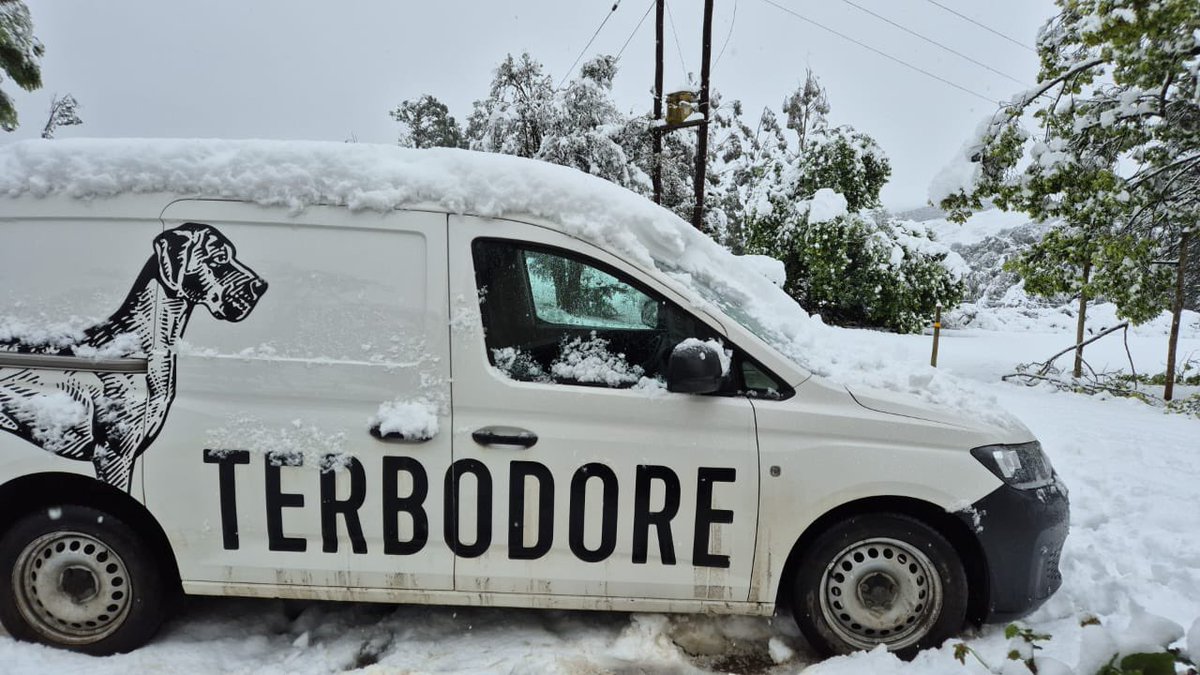 Terbodore Coffee tweet media