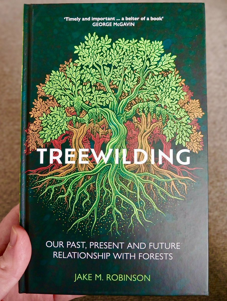 _jake_robinson's tweet photo. Repost with a photo of your favourite tree for a chance to win a signed hardback copy of #Treewilding 🌳

You can be anywhere in the world. Winner will be drawn at random.

https://t.co/7KW6hcWmfP https://t.co/hkh0eDRzpB