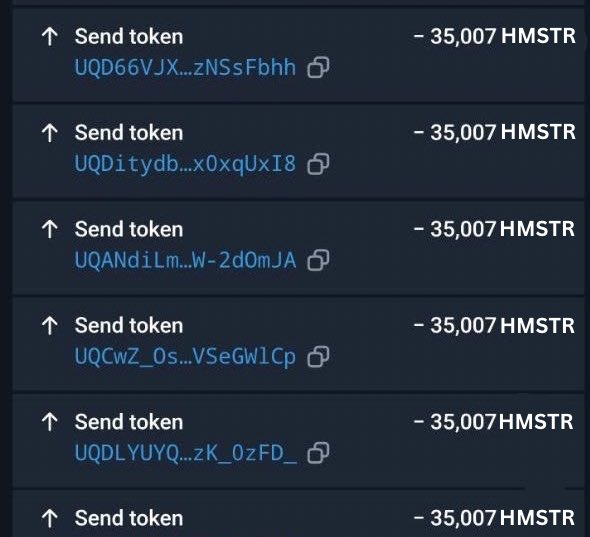 🎁Claim 35007 $HMSTR  for Yescoin user  
5 Millions  $HMSTR extra Giveaway   

STEP 1 : Follow @hamster_News07 
STEP 2 : RT+ Drop your $TON  wallet  

Claim here:  t.me/theYescoin_bot…

Must Complete All Task