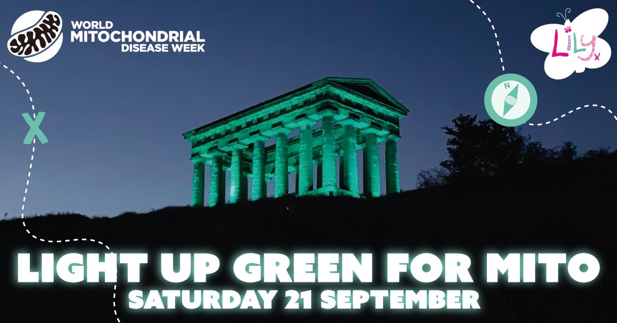 Show your support by turning lights green in your area 💚