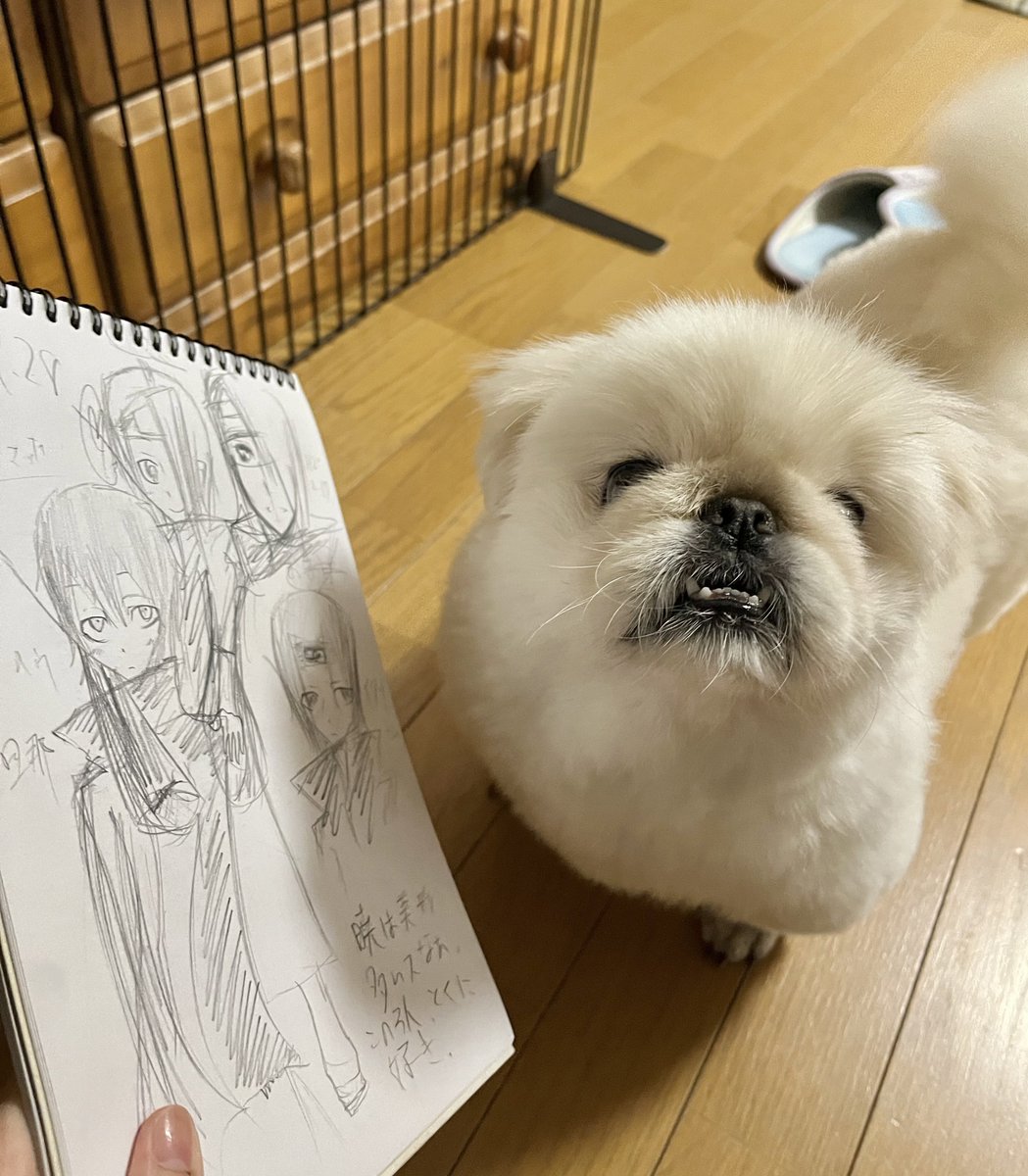 平成19年4?月28日の絵うますぎたのでひめちゃんにも見てもらいました 