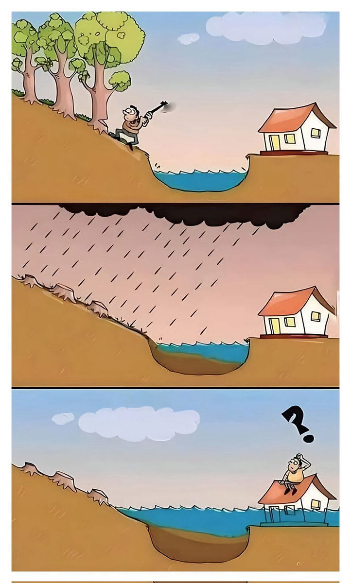 Minh Đoàn tweet media