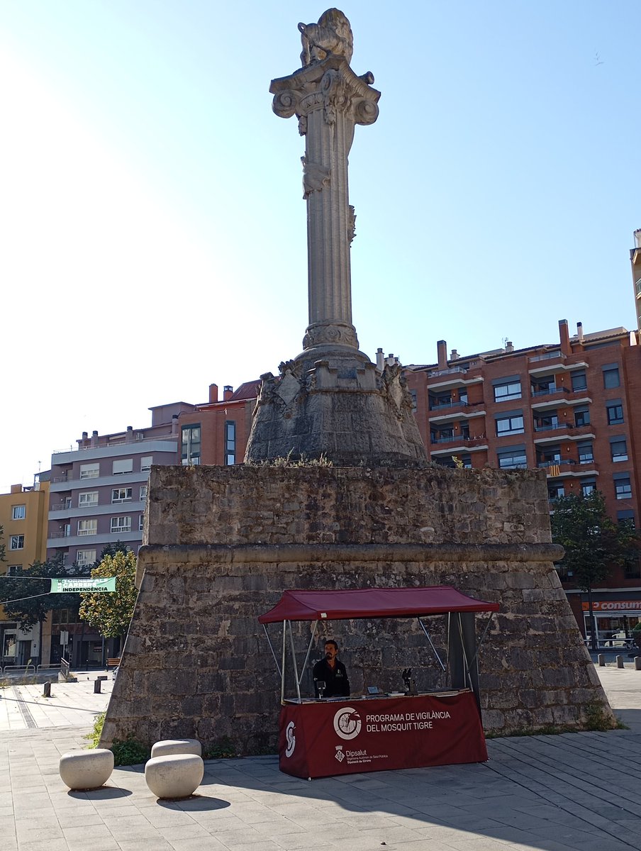 programatigre tweet media