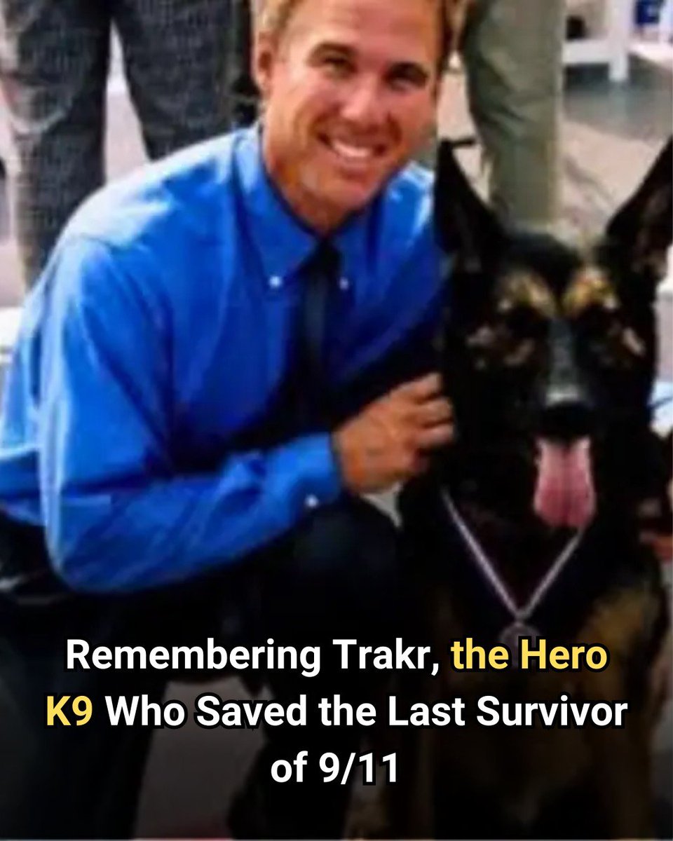 Such a good boy. 
animalsaroundtheglobe.com/how-trakr-the-…