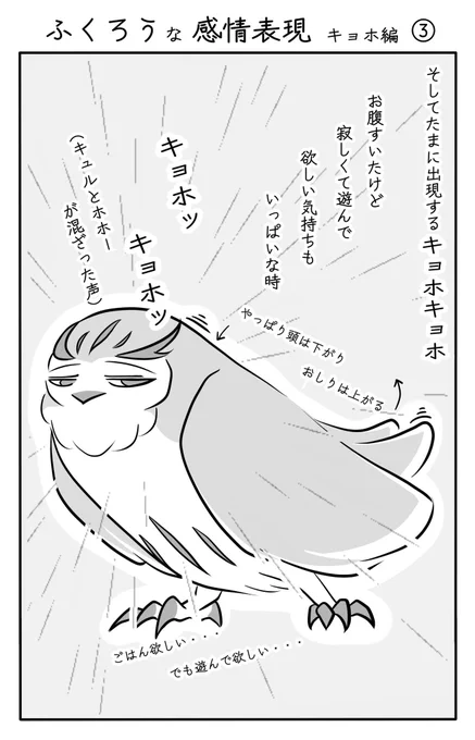『ふくろうな感情表現 キョホ編』(3/3)
#ふくろうな関係
#漫画が読めるハッシュタグ 