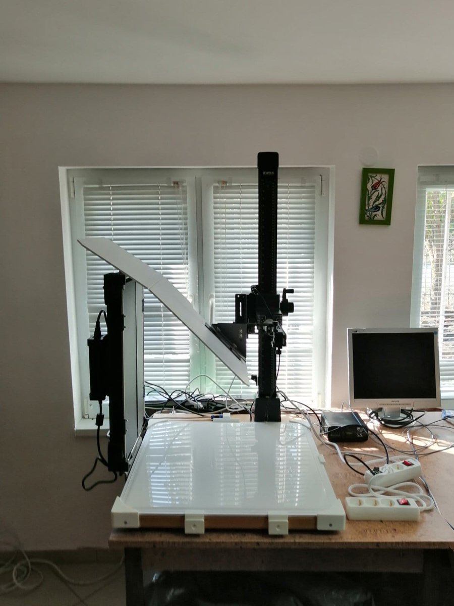 DigiDeultum tweet media