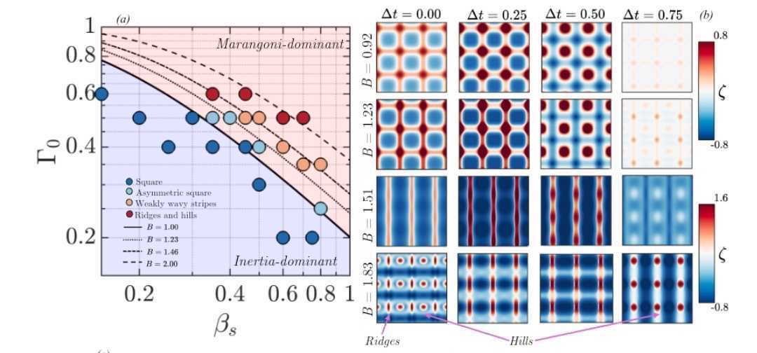 Matar Fluids Group (@matarlab) on Twitter photo Last talk from the group at the #EFDC1 will be given by <a href="/Debashis2499/">Debashis Panda</a> on Marangoni-driven pattern transitions in surfactant-covered Faraday waves.
Time: 10:45am - 11:00am • Location: H10 Last talk from the group at the #EFDC1 will be given by <a href="/Debashis2499/">Debashis Panda</a> on Marangoni-driven pattern transitions in surfactant-covered Faraday waves.
Time: 10:45am - 11:00am • Location: H10
