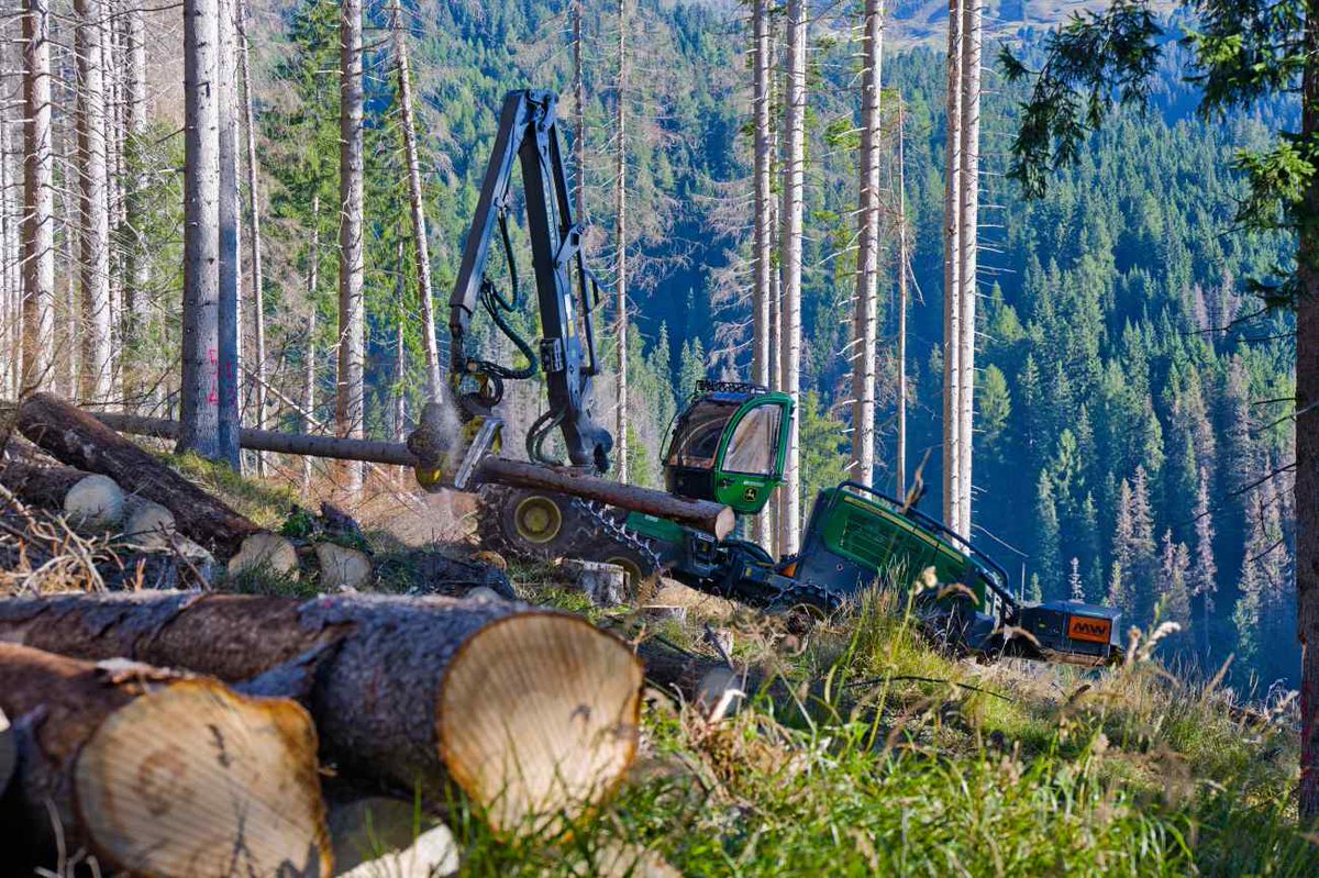 International Journal of Forest Engineering tweet media