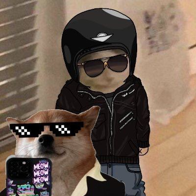X1000sureee's tweet photo. Gm  

Gmichi and Gmelfie to $michi and $selfie fam :) https://t.co/e0DXlOqraB