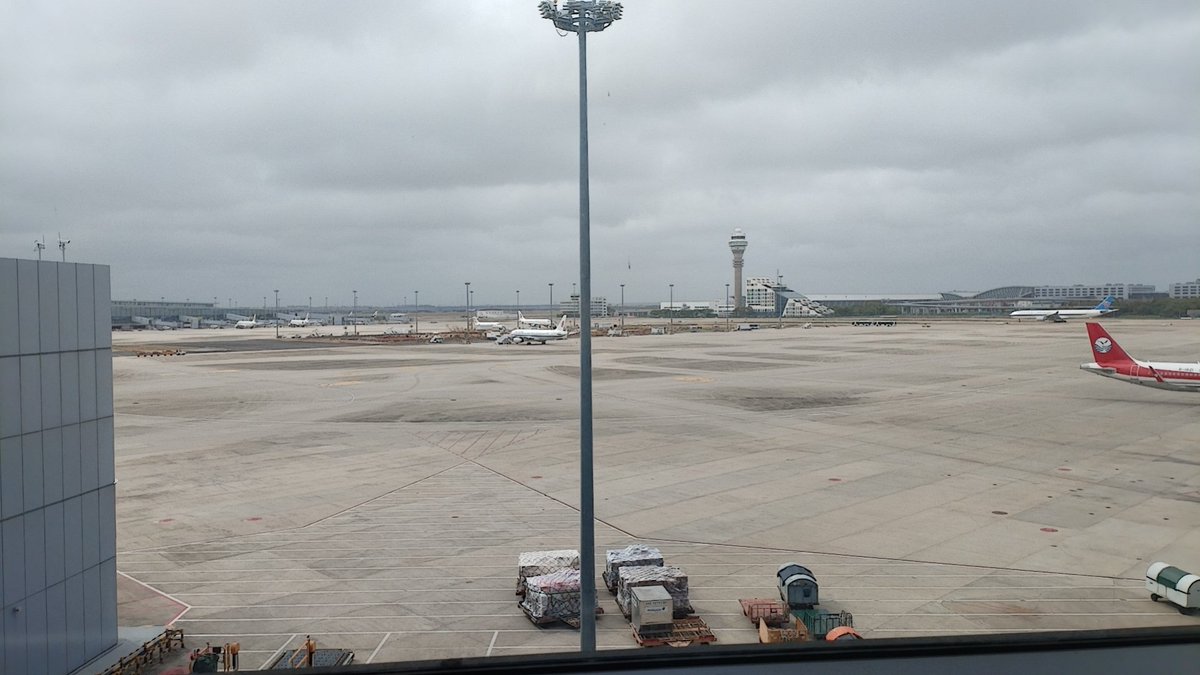 老鼠爱打洞 tweet media