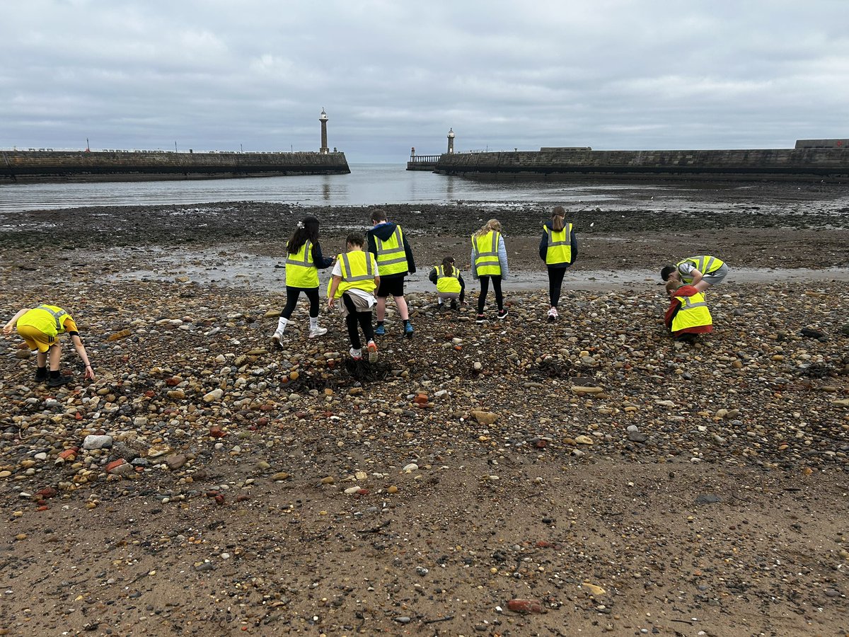 Year 5 are enthusiastically fossil hunting this morning. #WeExceed