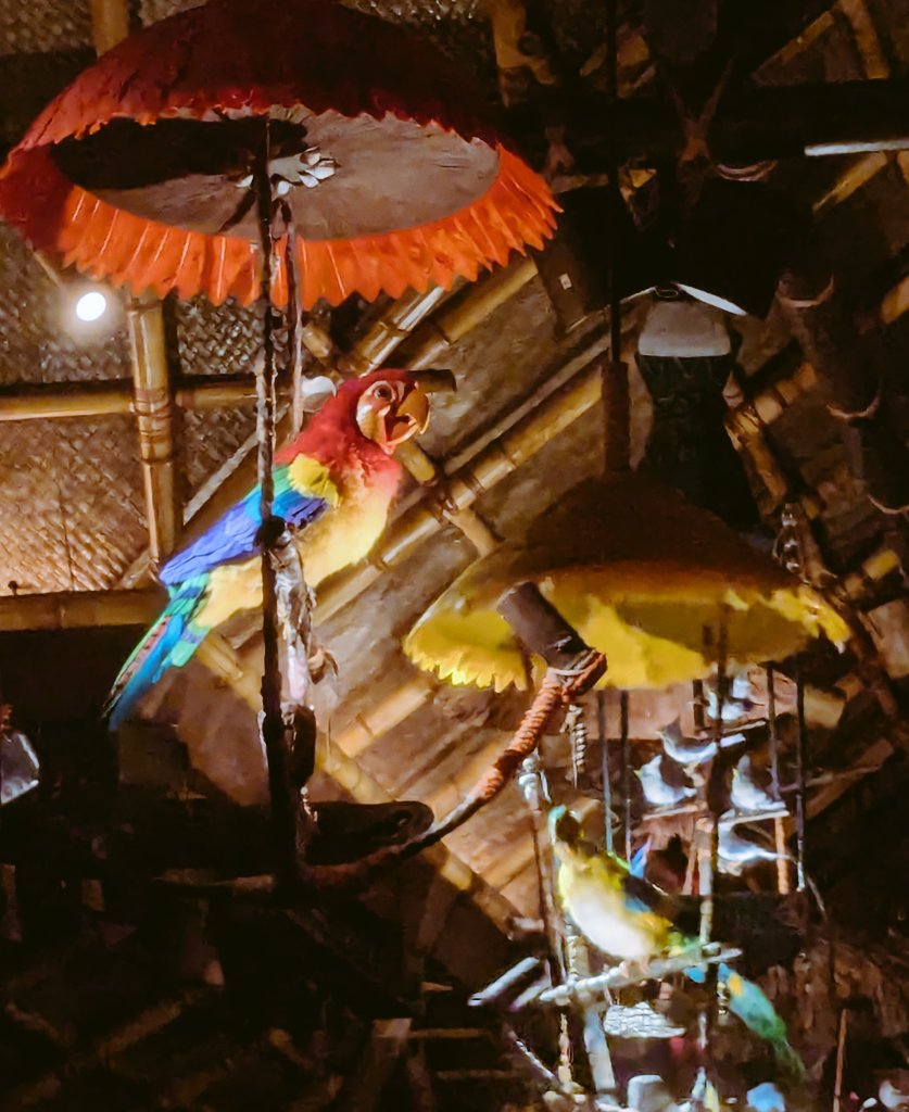 Mae_Macabre's tweet photo. Walt Disney's Enchanted Tiki Room 🦜 https://t.co/17BpNvyepE