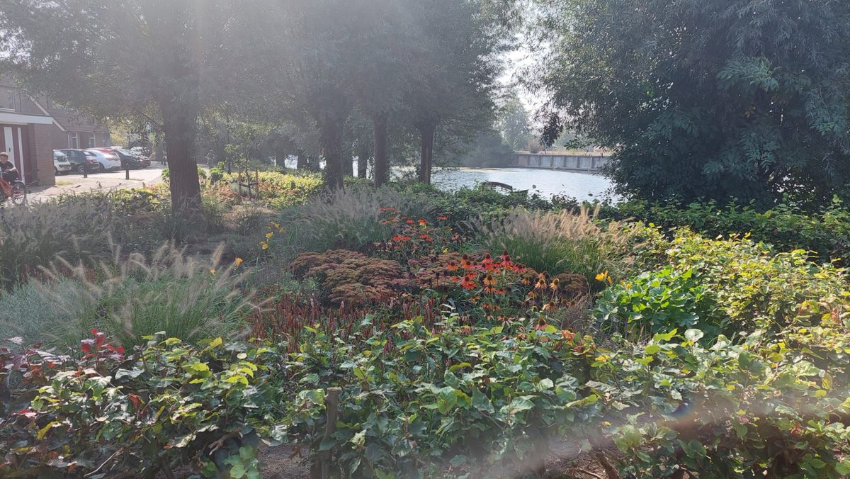 Ron König tweet media