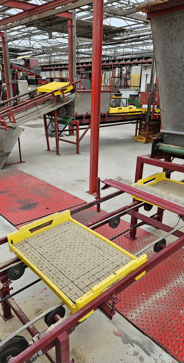 🌱 The Plants Raising Trays Season Has Started Again! 🌱We’re excited to announce that shipping of our plant raising trays has officially begun for this year! 🌿🌼
The crates for our customer Agri Cuadras are already in use!
#green #plantgrowing #propegators #plants #vegetables