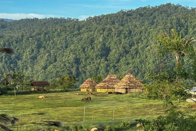 Get ready for the ultimate hiking adventure in Costa Rica!

Enhance your travel experience with a visit to the stunning #CaminodeCosta Rica, a 280km trail which stretches from the Caribbean coast to the Pacific.