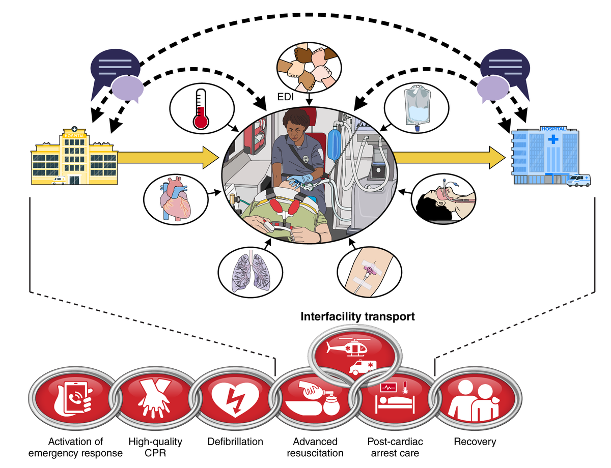 AHA Science (@ahascience) on Twitter photo 🆕Scientific Statement: Management of Patients w/ Cardiac Arrest Requiring Interfacility Transport (IFT).
📷 Overview of IFT after cardiac arrest in the context of the chain of survival.
✍🏽 <a href="/ErinBressler/">Erin Bressler</a> @CashRebecca <a href="/emerg_doc/">Steve Lin</a> <a href="/namorrismd/">Nicholas Morris</a> <a href="/Mu_AHAscience/">Mu Huang, PhD, DPT</a> <a href="/K_SheehanPhD/">Katherine Sheehan, PhD</a> 🆕Scientific Statement: Management of Patients w/ Cardiac Arrest Requiring Interfacility Transport (IFT).
📷 Overview of IFT after cardiac arrest in the context of the chain of survival.
✍🏽 <a href="/ErinBressler/">Erin Bressler</a> @CashRebecca <a href="/emerg_doc/">Steve Lin</a> <a href="/namorrismd/">Nicholas Morris</a> <a href="/Mu_AHAscience/">Mu Huang, PhD, DPT</a> <a href="/K_SheehanPhD/">Katherine Sheehan, PhD</a>
