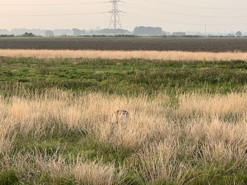 Gareth Ward tweet media