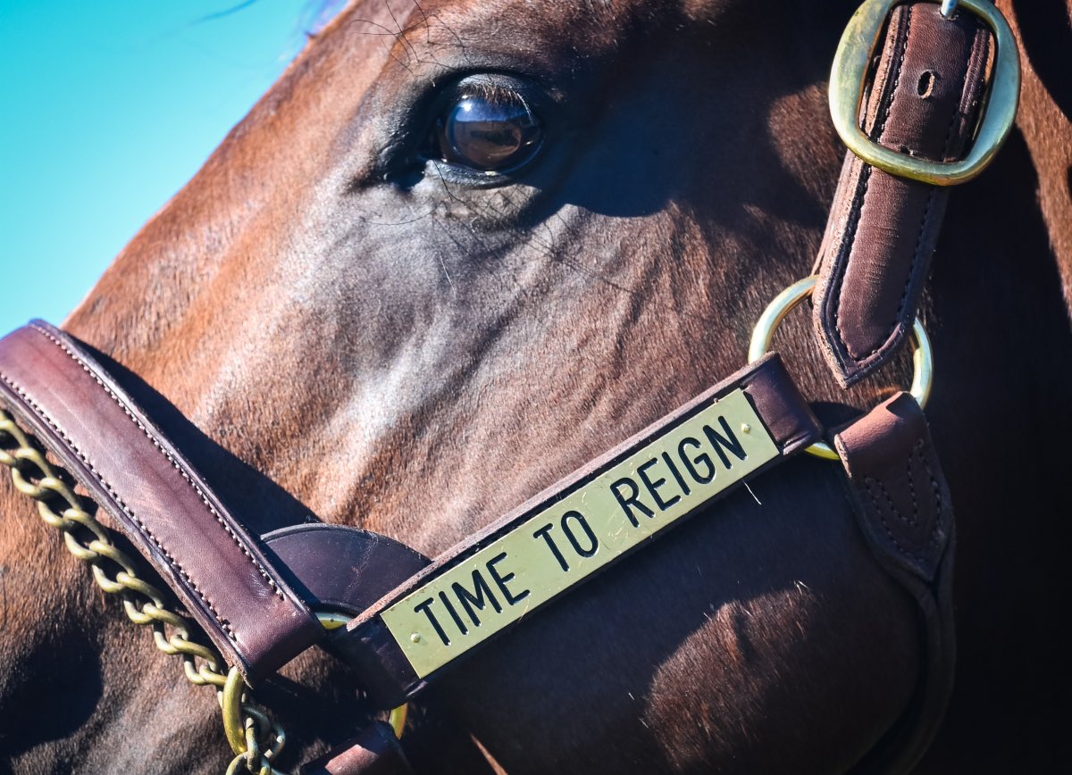 Kingstar Farm (@kingstarfarm) on Twitter photo It’s Time.
CROWN THE KING <a href="/GaiWaterhouse1/">Gai Waterhouse AO</a>
TIMELESS GRACE <a href="/MFreedmanRacing/">Michael Freedman Racing</a>
⏱️ TIME TO REIGN’s first crop set to debut <a href="/royalrandwick/">Royal Randwick</a> on Monday.
<a href="/Darby_Racing/">Darby Racing</a> <a href="/inglis_sales/">Inglis</a> It’s Time.
CROWN THE KING <a href="/GaiWaterhouse1/">Gai Waterhouse AO</a>
TIMELESS GRACE <a href="/MFreedmanRacing/">Michael Freedman Racing</a>
⏱️ TIME TO REIGN’s first crop set to debut <a href="/royalrandwick/">Royal Randwick</a> on Monday.
<a href="/Darby_Racing/">Darby Racing</a> <a href="/inglis_sales/">Inglis</a>