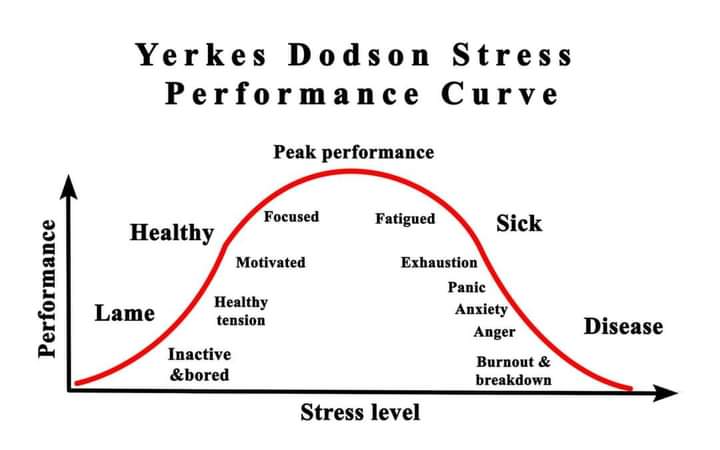 perfectsolutio8's tweet photo. Look at the right hand side of this curve.
If you live in this place, I can show you how to step out of this very quickly. Feel peace and have a clearer thinking mind.
You really do have the choice.

#StressManagement https://t.co/eQmj0P1Si1