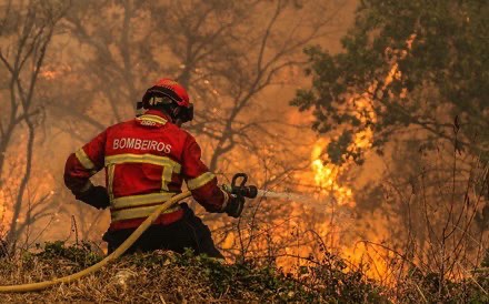 SportingCP_fra's tweet image. [Hors football]

Comme vous le savez, notre pays est en flamme et le sentiment d’impuissance est horrible.

Notre seul pouvoir actuel est celui d’aider financièrement que ce soit pour les familles, les pompiers et tout ceux qui participent à cet événement tragique.

Part 1/2