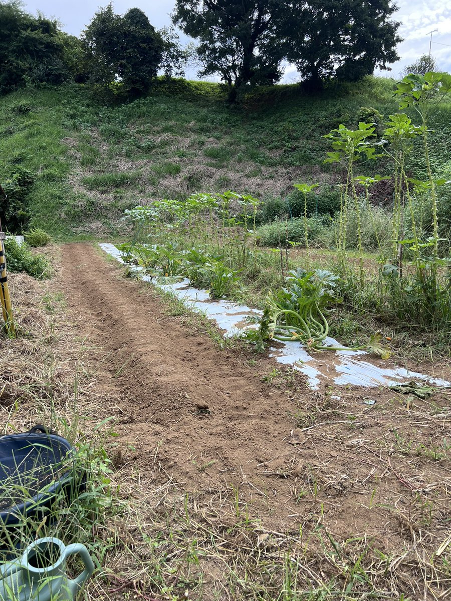 IPTD-861 Unang impression Emiri Okazaki - MissAV | Mano