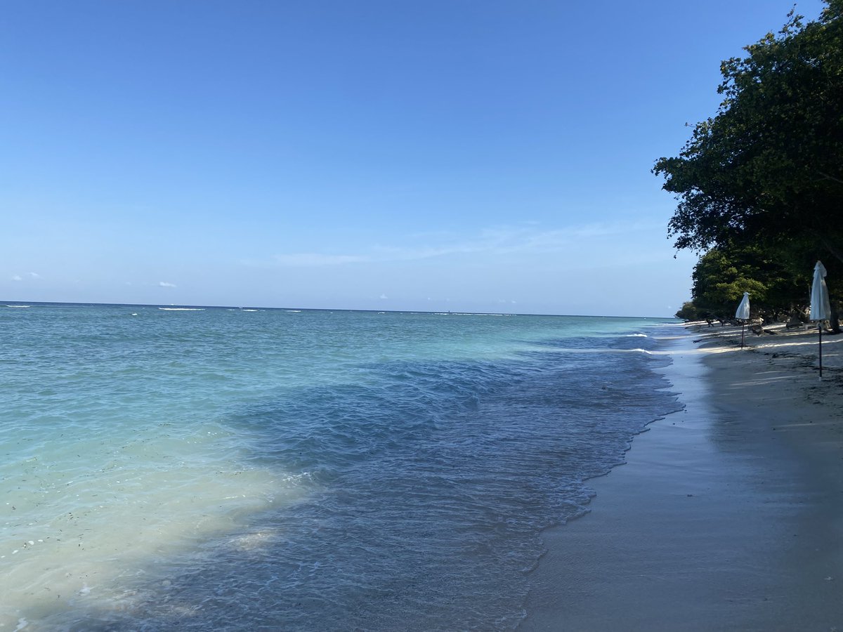 Martin Robinson tweet media