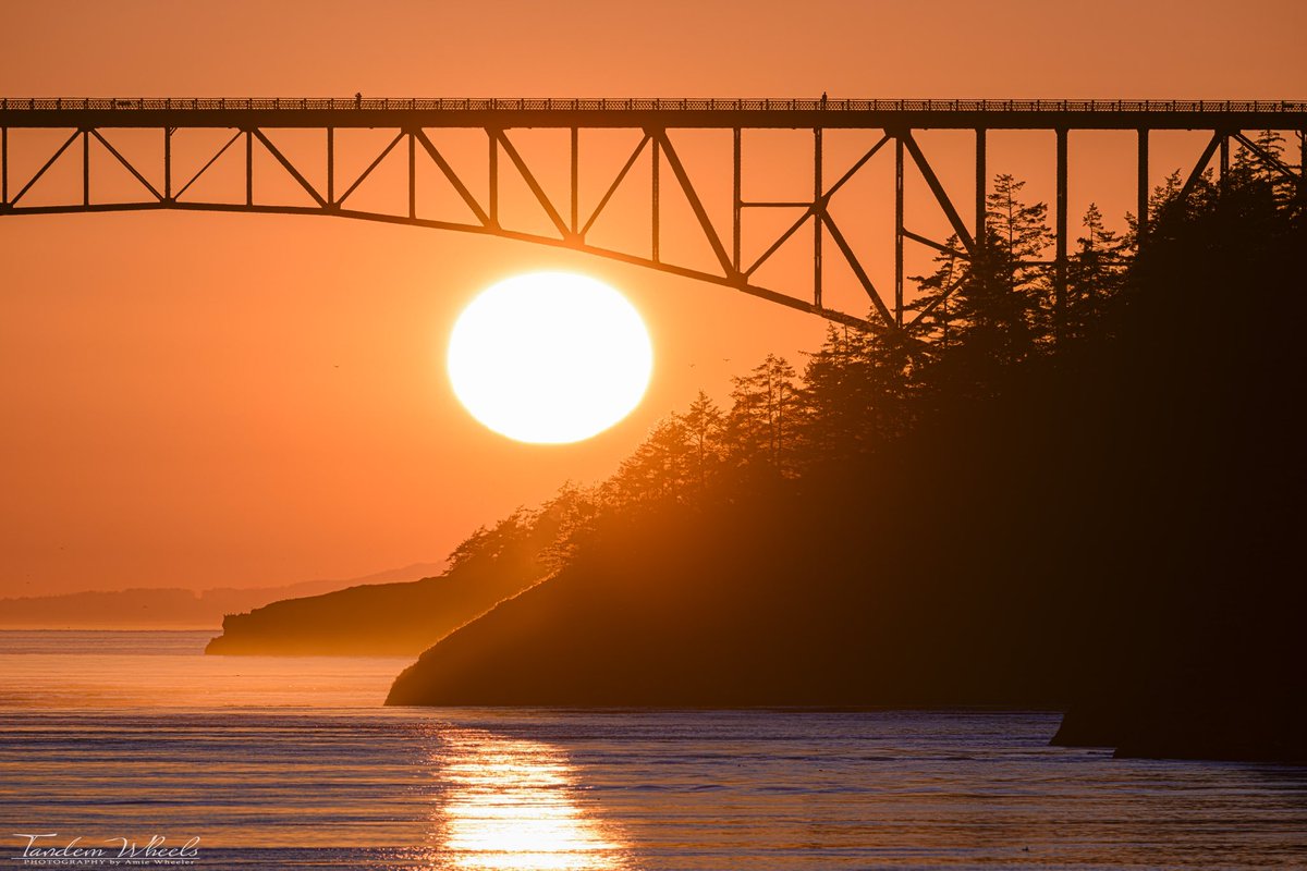 MimiRitZ244's tweet photo. Breathtaking sunset tonight. As the sun dipped below the Deception Pass Bridge, it cast a warm golden glow over the landscape and silhouetted the islands beautifully. 🌄

#wawx #pnw #sonorthwest #sunset #deceptionpass https://t.co/PL0iBJH1MA