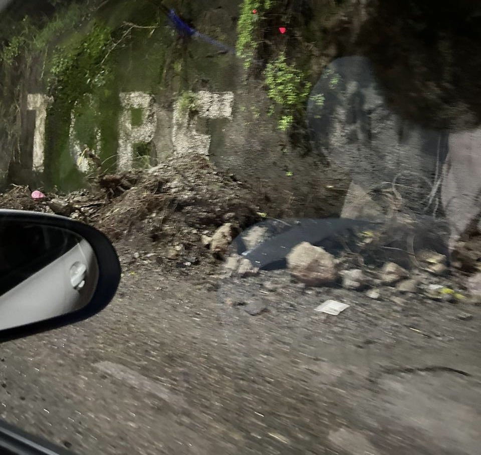 ProBosques de las Lomas tweet media