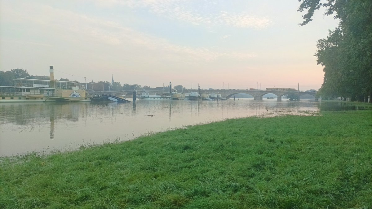 #Elbe #Dresden #hochwasser2024 ziemlich genau bei Scheiteldurchgang