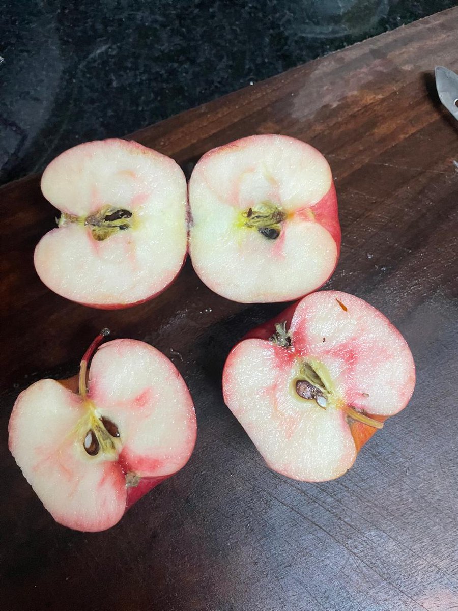 rajahrizwan's tweet photo. Bought a kilo of apples from Swiggy Instamart. Few days later, they started showing red inside, a juicy nightmare with all the viral videos about apple colouring. #RottenCustomerService #ApplesGoneWild @SwiggyCares @SwiggyInstamart https://t.co/YjjkBM2CV9