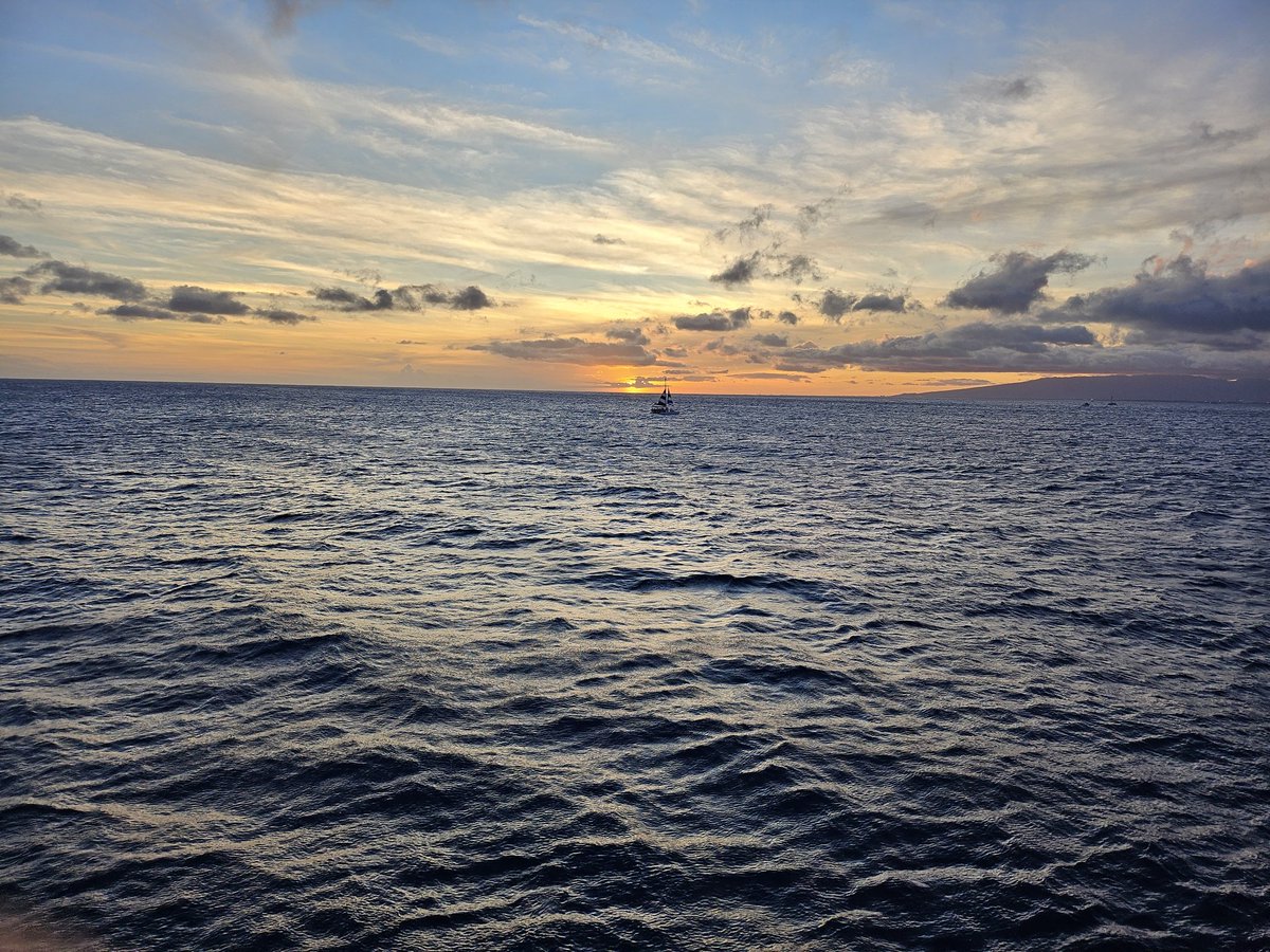 sookwan chae (@drchaesk) on Twitter photo 