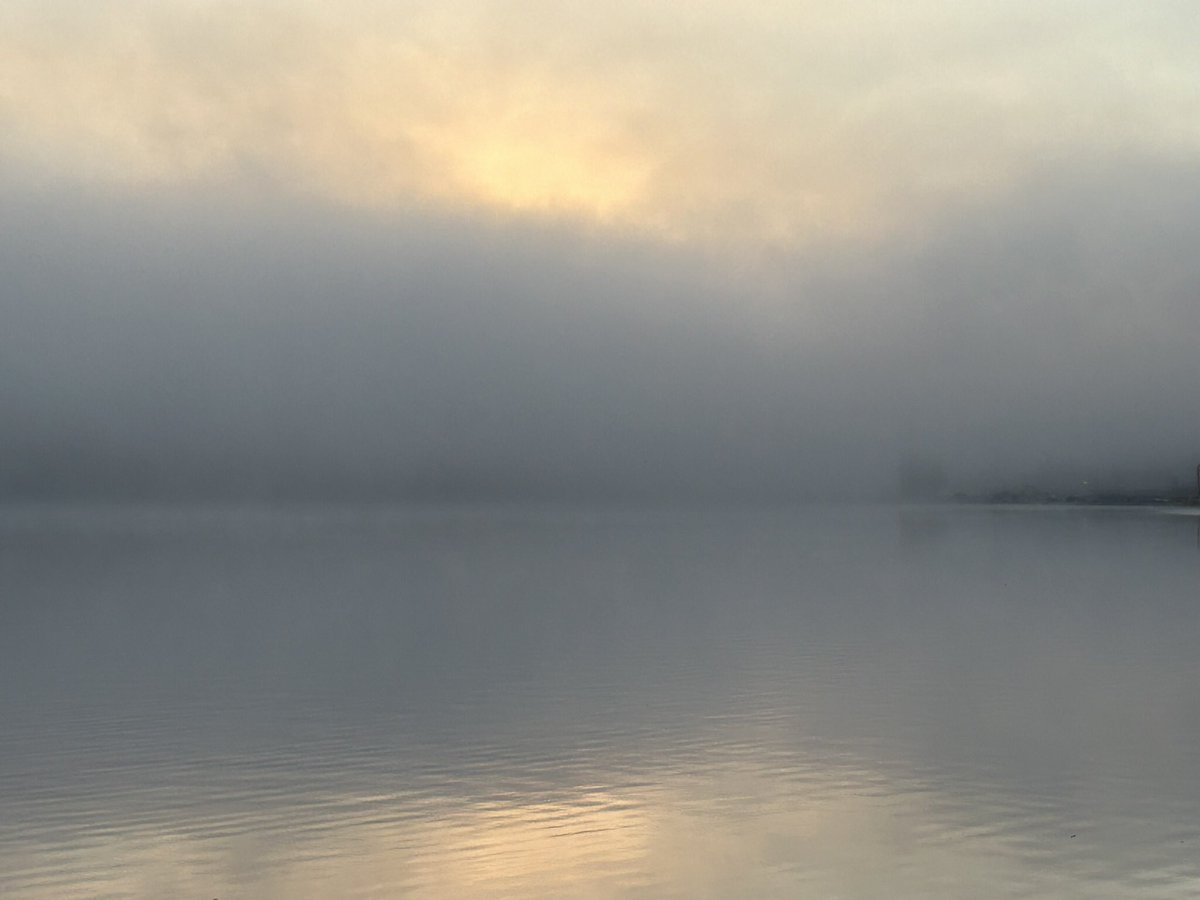 Patrick Isaksson tweet media